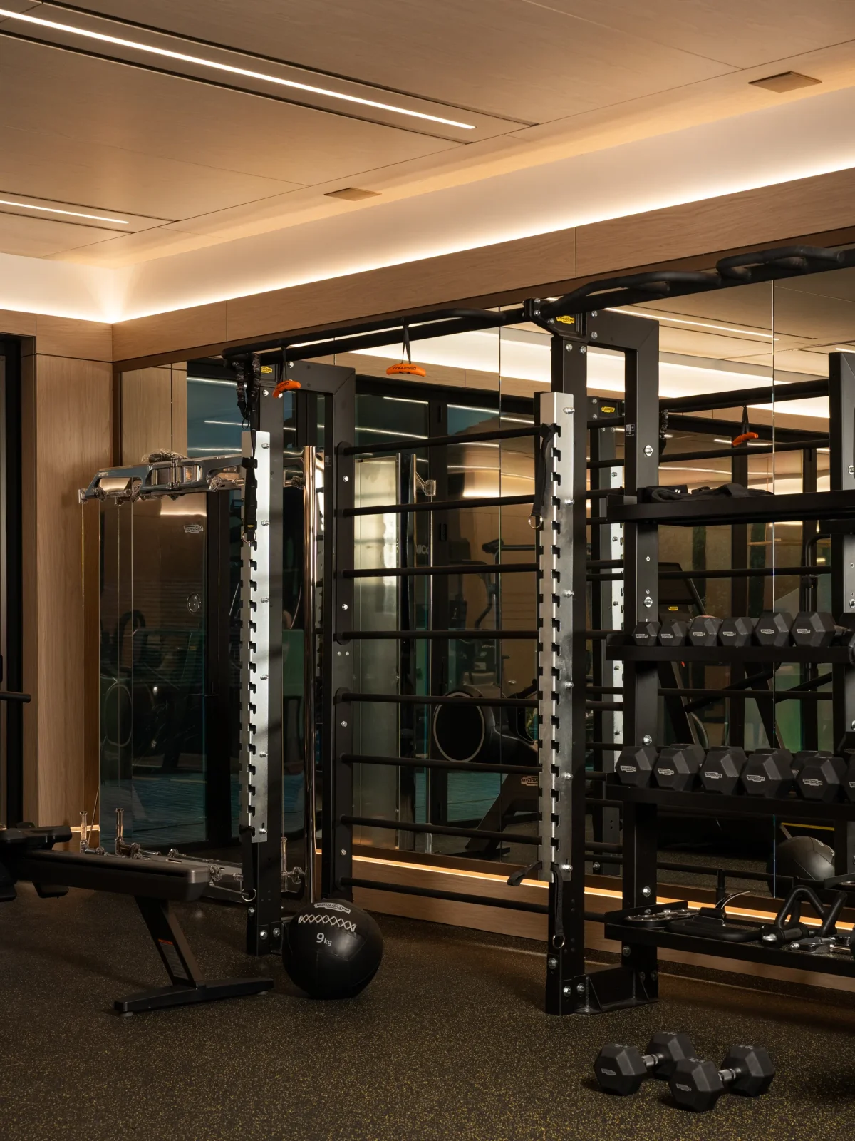 Home gym — Del Mar